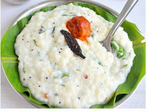 Curd Rice