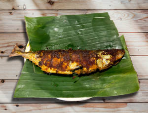 Ayala Fry