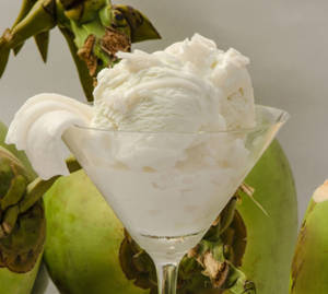 Tender Coconut Scoop