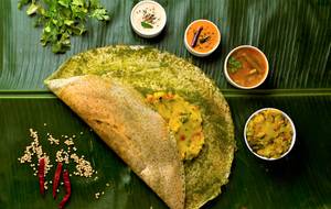 Coriander Masala  Dosa