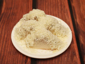 Plain cheese grilled sandwich