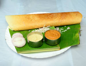 Plain Dosa
