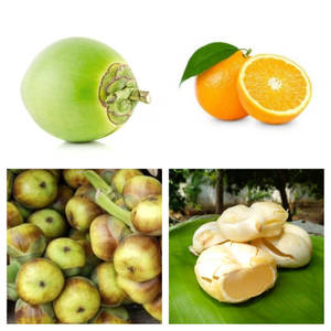 Tender Coconut Orange Within Nungu (Large)
