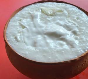 Plain Curd