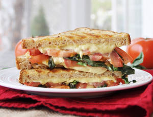 Veg Cheese Sandwich