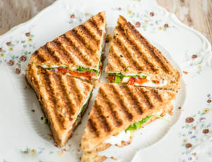 Grilled Sandwich