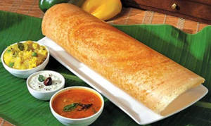 Roast Dosa