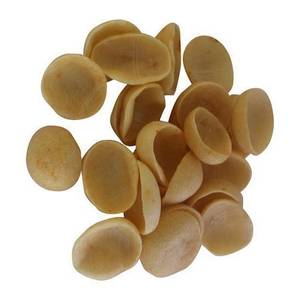 SOYA KATORI