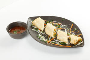 Veg Spring Roll