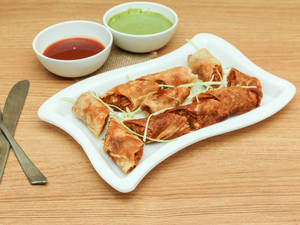 Veg special spring roll