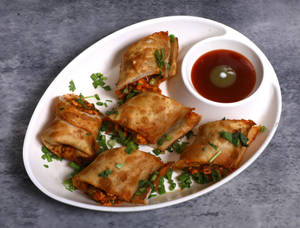 Veg Spring Roll        