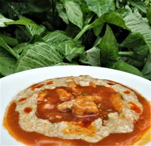 Chicken  in Parsley Sauce