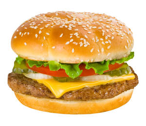 Veg Cheese Burger