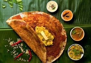 Schezwan Butter Masala Dosa