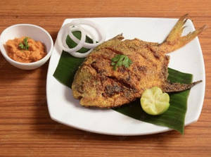 Pomfret  Fry