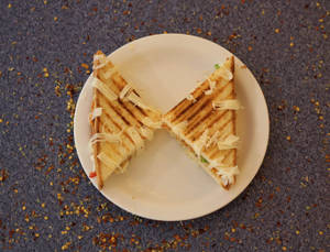 Chicken Grilled Sandwich