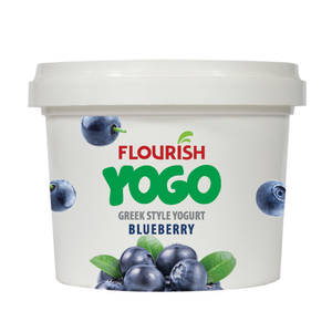 Blueberry Yogurt (90 Gms)