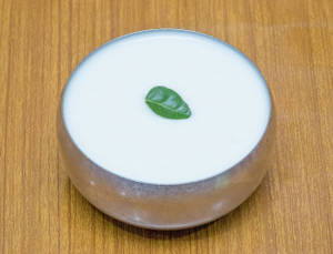 Plain Dahi