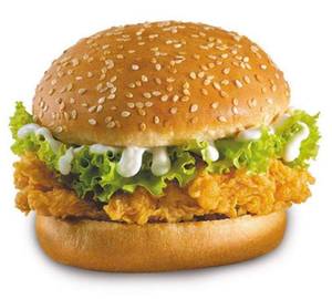 Hotouch Chicken Burger 
