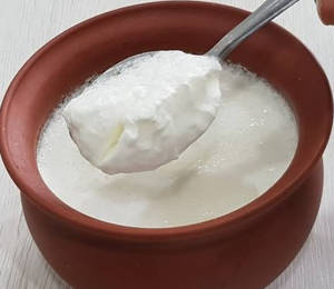 Dahi/curd