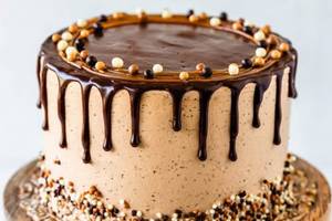 Chocolate Mocha Cake (450 Gms)