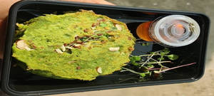 Protein Pancake