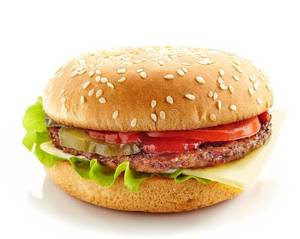 Plain Burger [ 20% Off ]                      