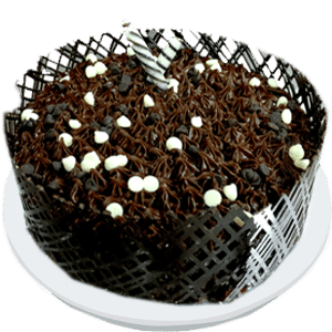 Chocolate Overload Cake                                  