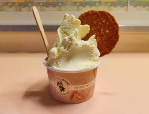 Vanilla Madagascar