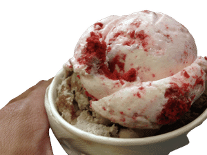 SB Swiss Cake Ice Cream