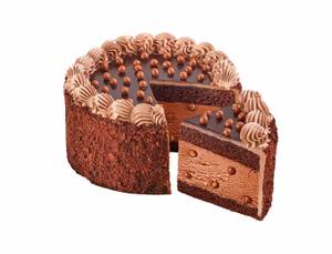Chocolate Overload Ice Cream Cake (500 Ml)