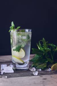 Paan Mojito