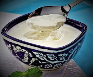 Plain Dahi