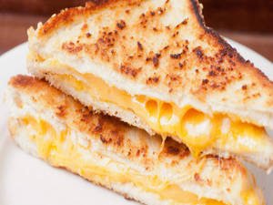 Cheese Sandwich