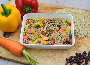 Quinoa Veggie Salad
