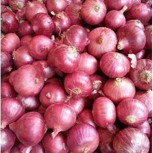 Onion(1 Kg)