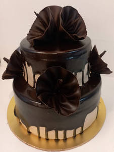 Chocolate Mousse Step Cake 1.5kg
