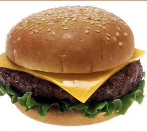 Cheese Burger