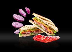 Veg Grilled Sandwich