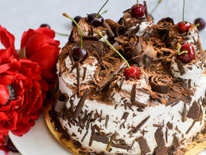 Black Forest