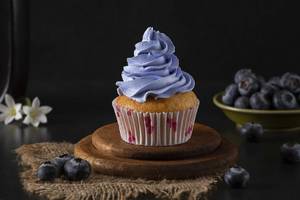 Blueberry Cupcake