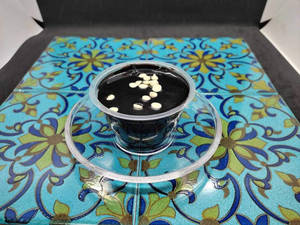 Chocolate Truffle Pudding Cup