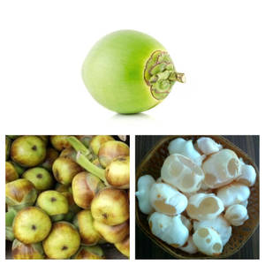 Tender Coconut Nungu Within Nungu (750 Ml)