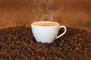 Hot Coffee(bru)