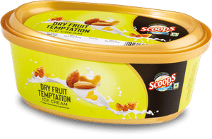 Dry Fruit Temptation 500 Ml