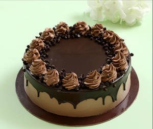 Cream chocolate cake