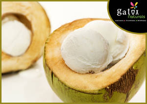 Tender Coconut Ice Cream[mini Pack]
