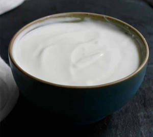 Plain Dahi