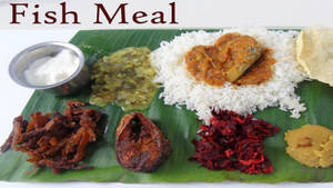 Fish Meals