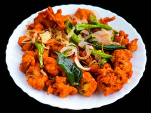 Gobi 65